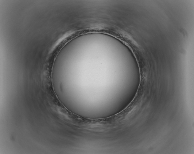 X0000113921256200910090929