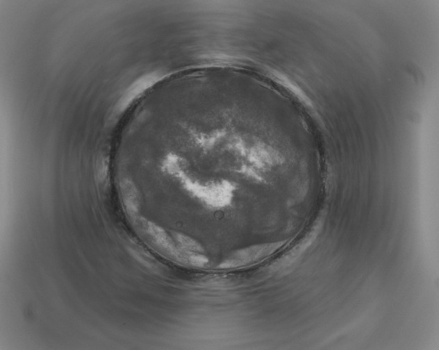 X0000113921259200910090929