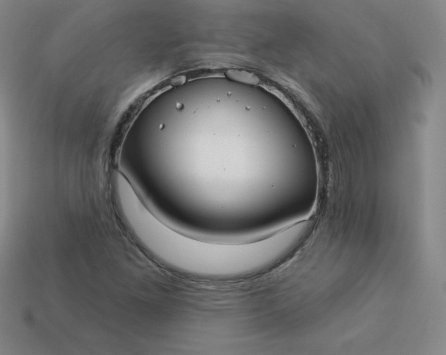 X0000113921261200910090929