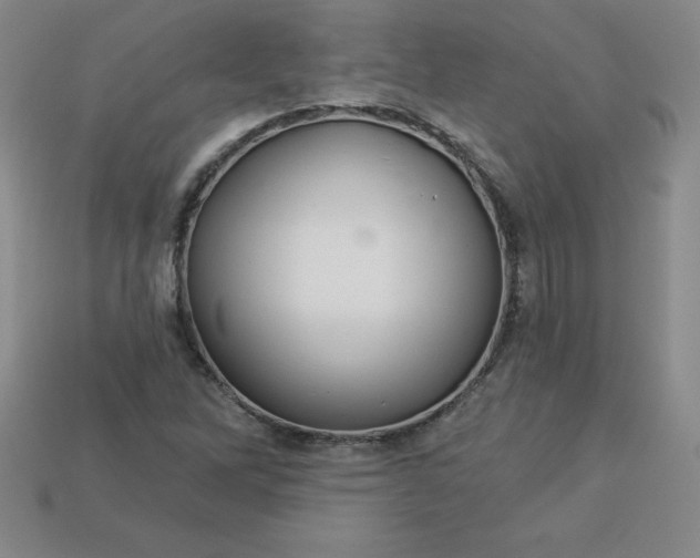 X0000113921262200910090929
