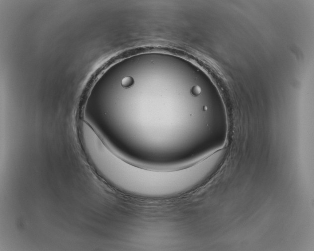 X0000113921264200910090929