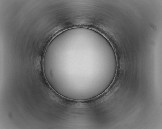 X0000113921265200910090929