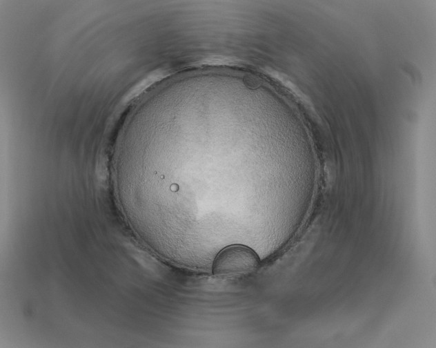X0000113921266200910090929
