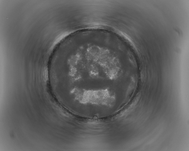 X0000113921267200910090929