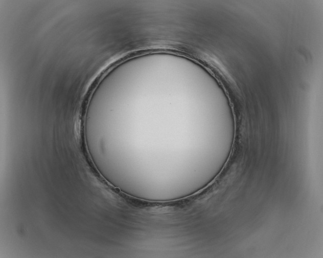 X0000113921268200910090929