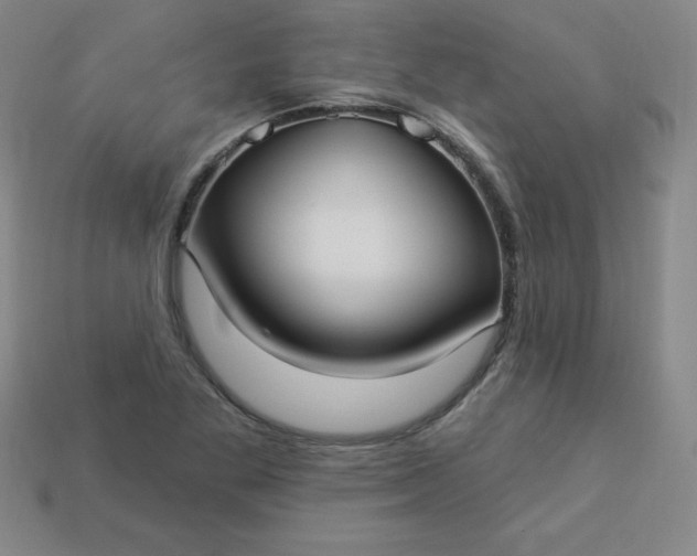 X0000113921269200910090929
