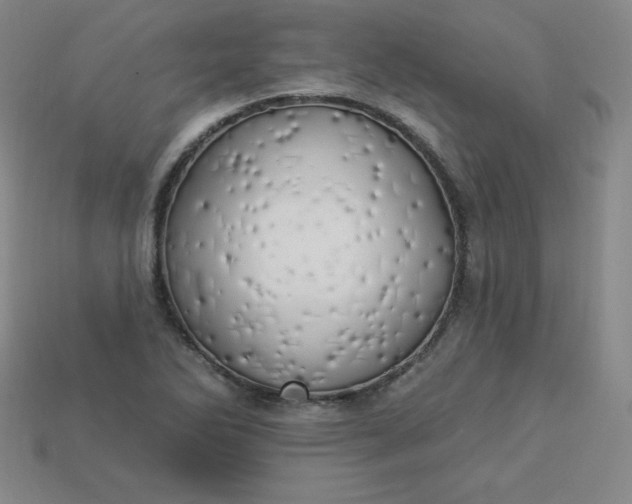X0000113921270200910090929