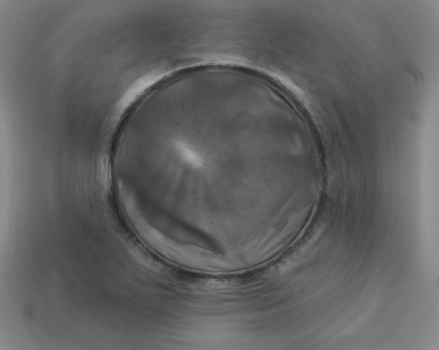 X0000113921271200910090929
