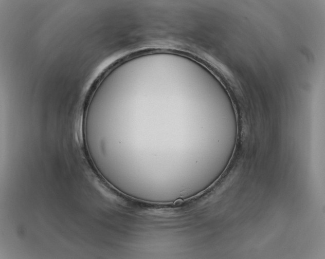 X0000113921272200910090929
