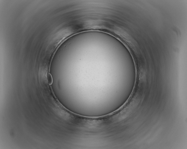 X0000113921273200910090929