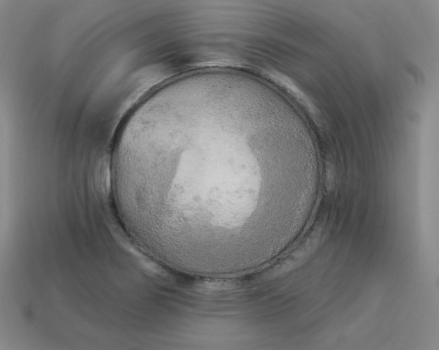 X0000113921274200910090929