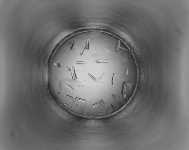 X0000113921275200910090929