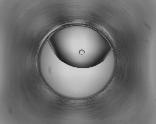 X0000113921276200910090929