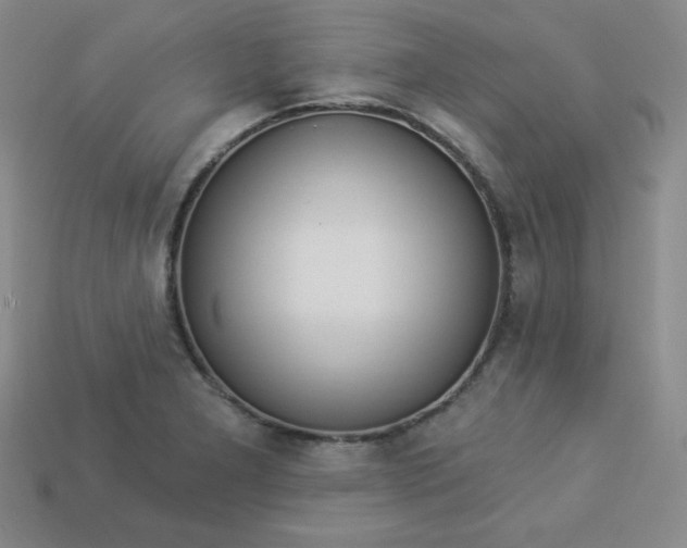 X0000113921277200910090929