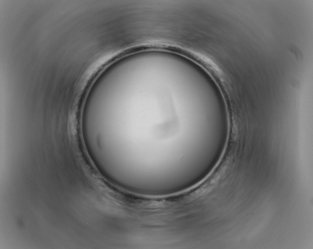 X0000113921279200910090929