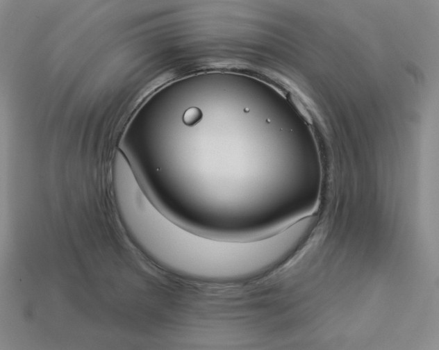 X0000113921281200910090929