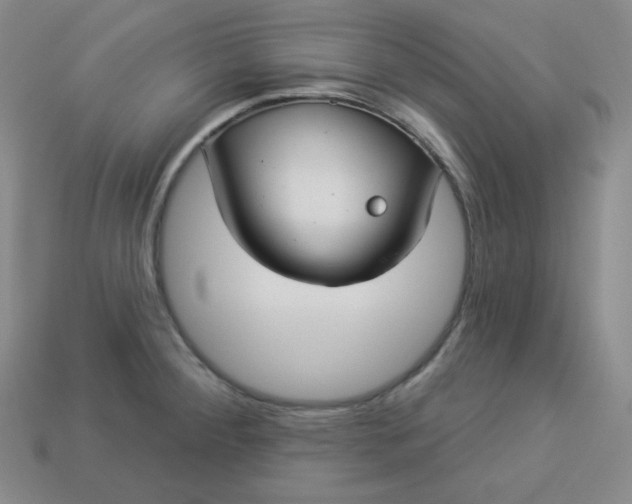 X0000113921284200910090929