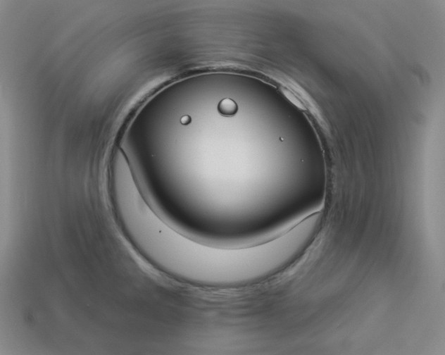 X0000113921285200910090929