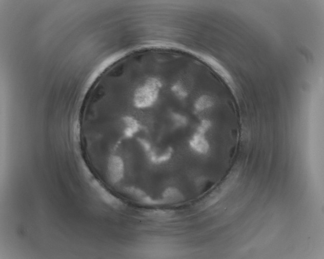 X0000113921287200910090928