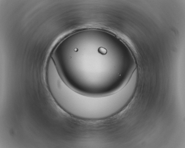 X0000113921288200910090928