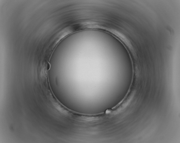 X0000113921289200910090928