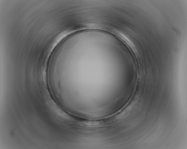 X0000113921291200910090928