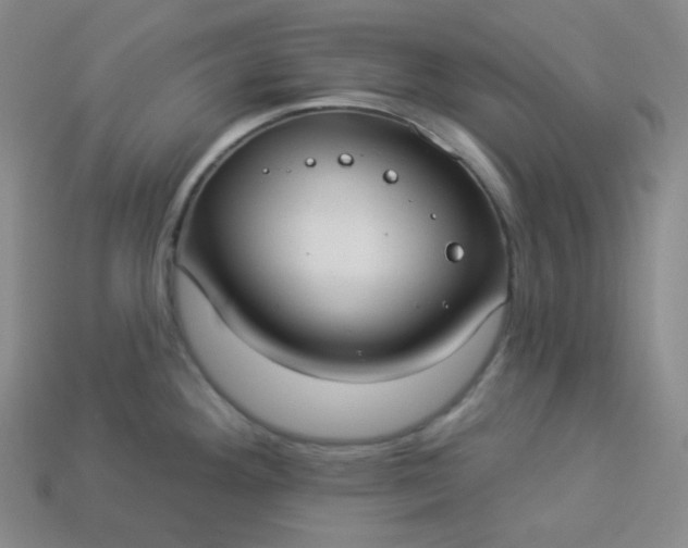 X0000113921292200910090928