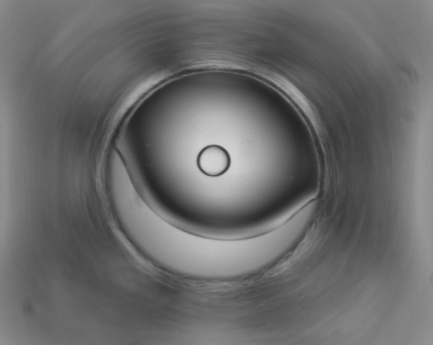X0000113921293200910090928