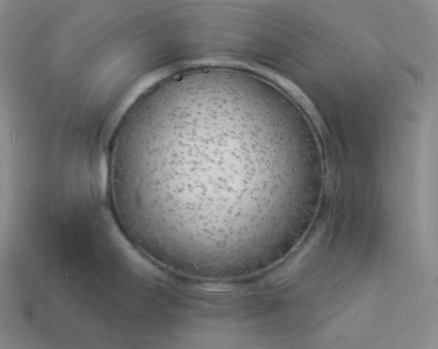 X0000113921295200910090928
