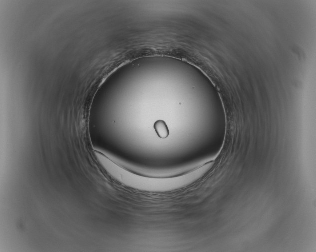 X0000113921298200910090928