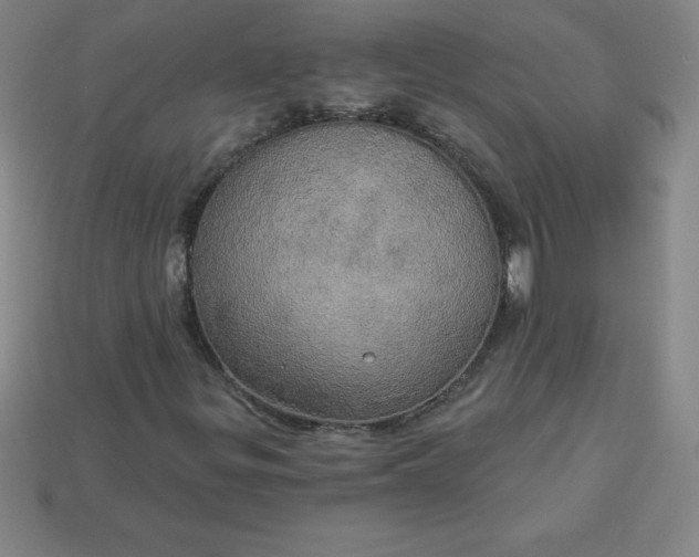 X0000113921299200910090928
