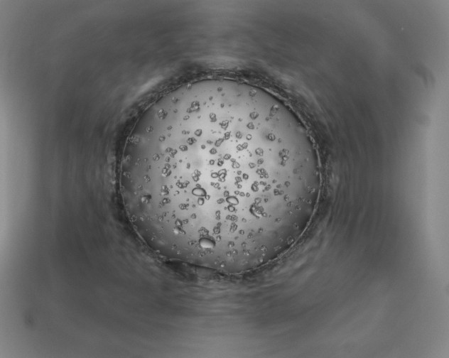 X0000113921301200910090928