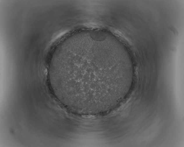 X0000113921302200910090928
