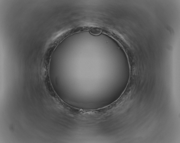 X0000113921303200910090928
