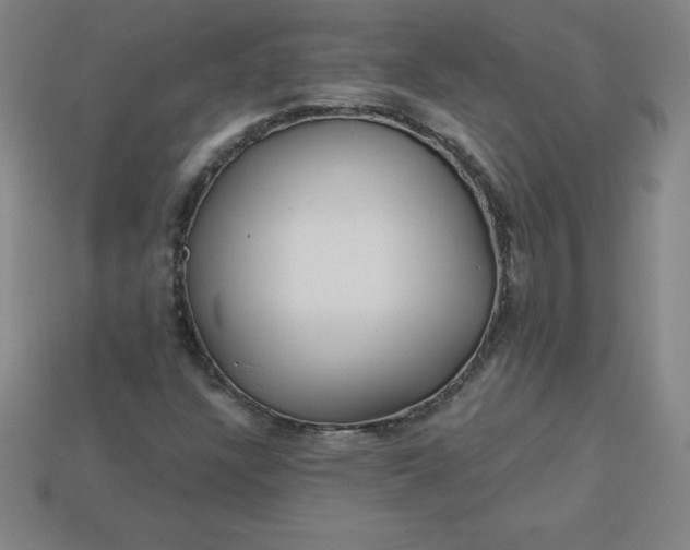 X0000113921304200910090928