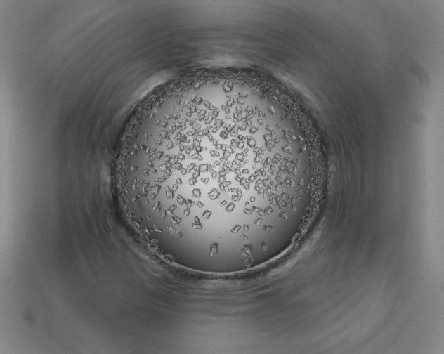 X0000113921305200910090928