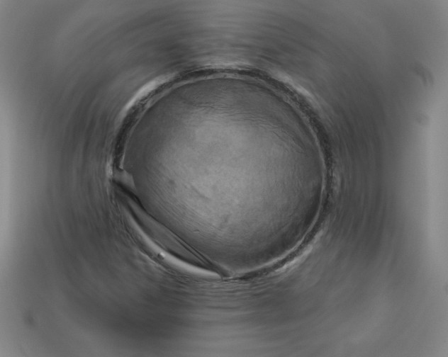 X0000113921306200910090928