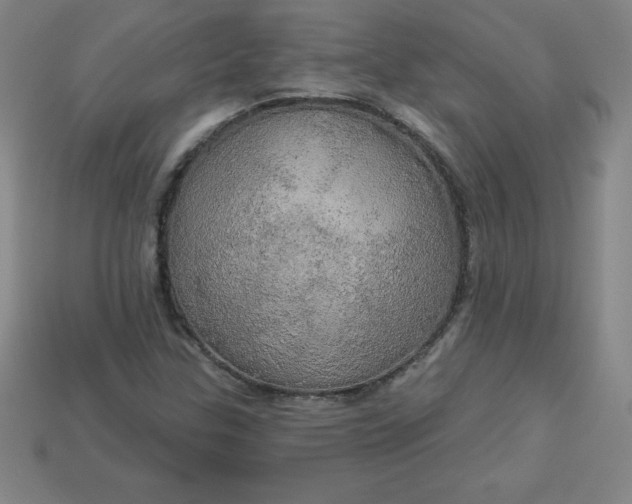 X0000113921307200910090928