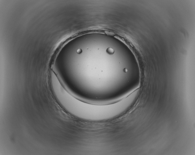 X0000113921308200910090928