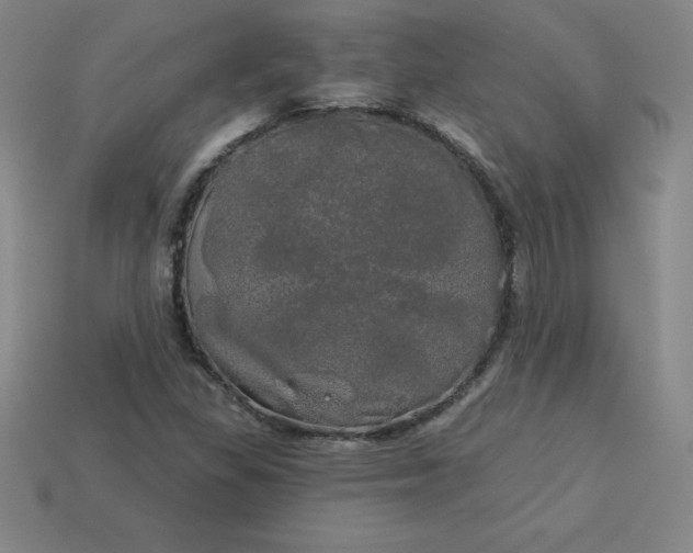 X0000113921309200910090928