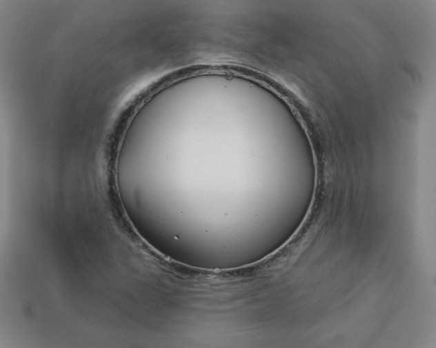 X0000113921311200910090928