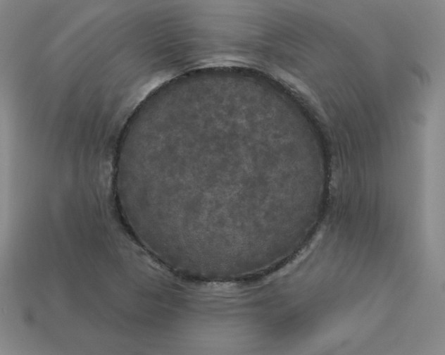 X0000113921313200910090928