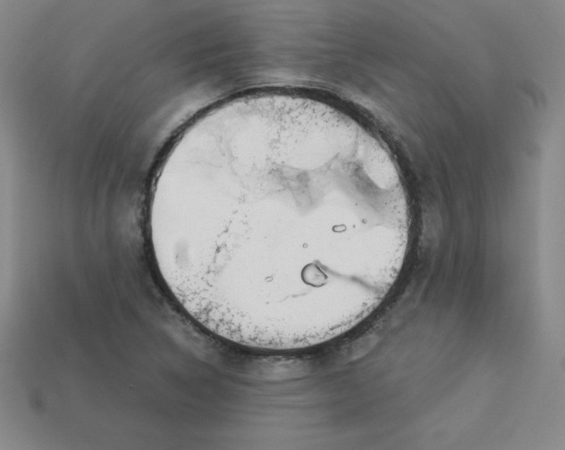 X0000113921314200910090928