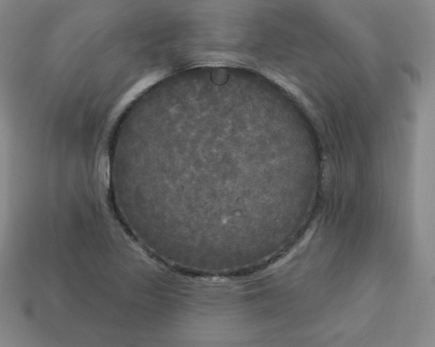 X0000113921317200910090928