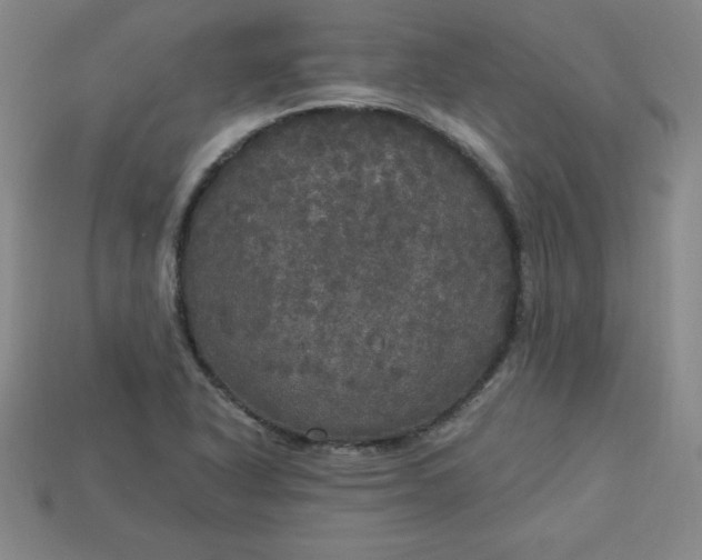 X0000113921318200910090928