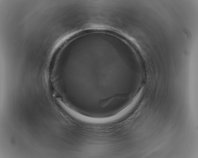 X0000113921319200910090928