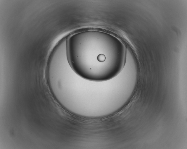 X0000113921320200910090928