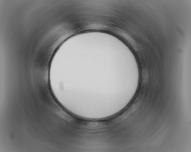 X0000113921322200910090928