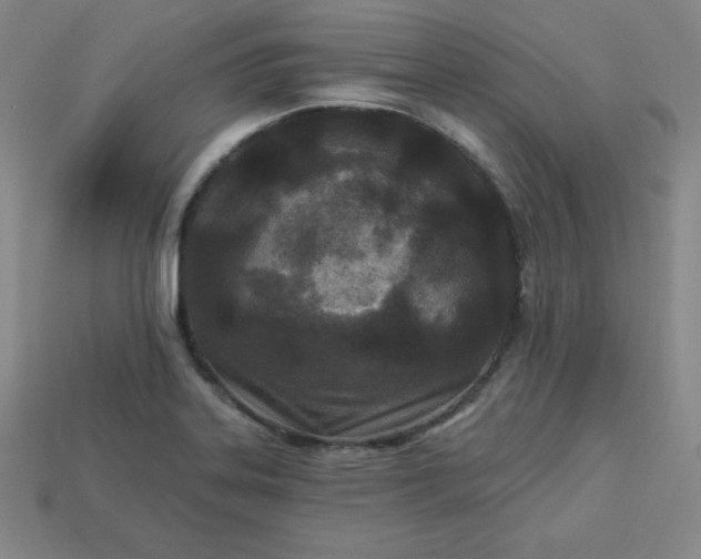 X0000113921323200910090928