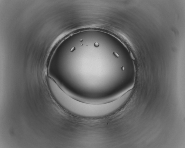 X0000113921324200910090928